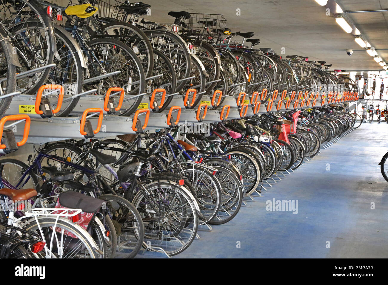inside cycle