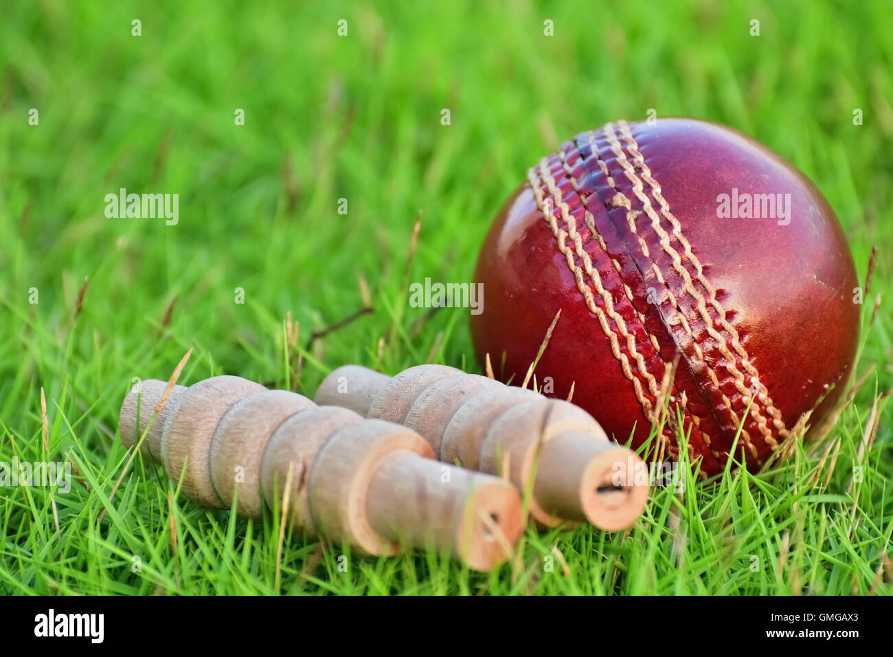 Cricket ball and bails on grass field. Stock Photo