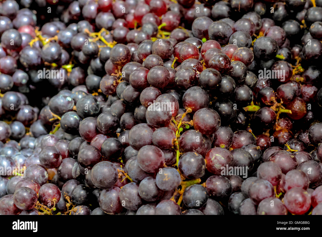 grape Beauty Seedless background Stock Photo - Alamy