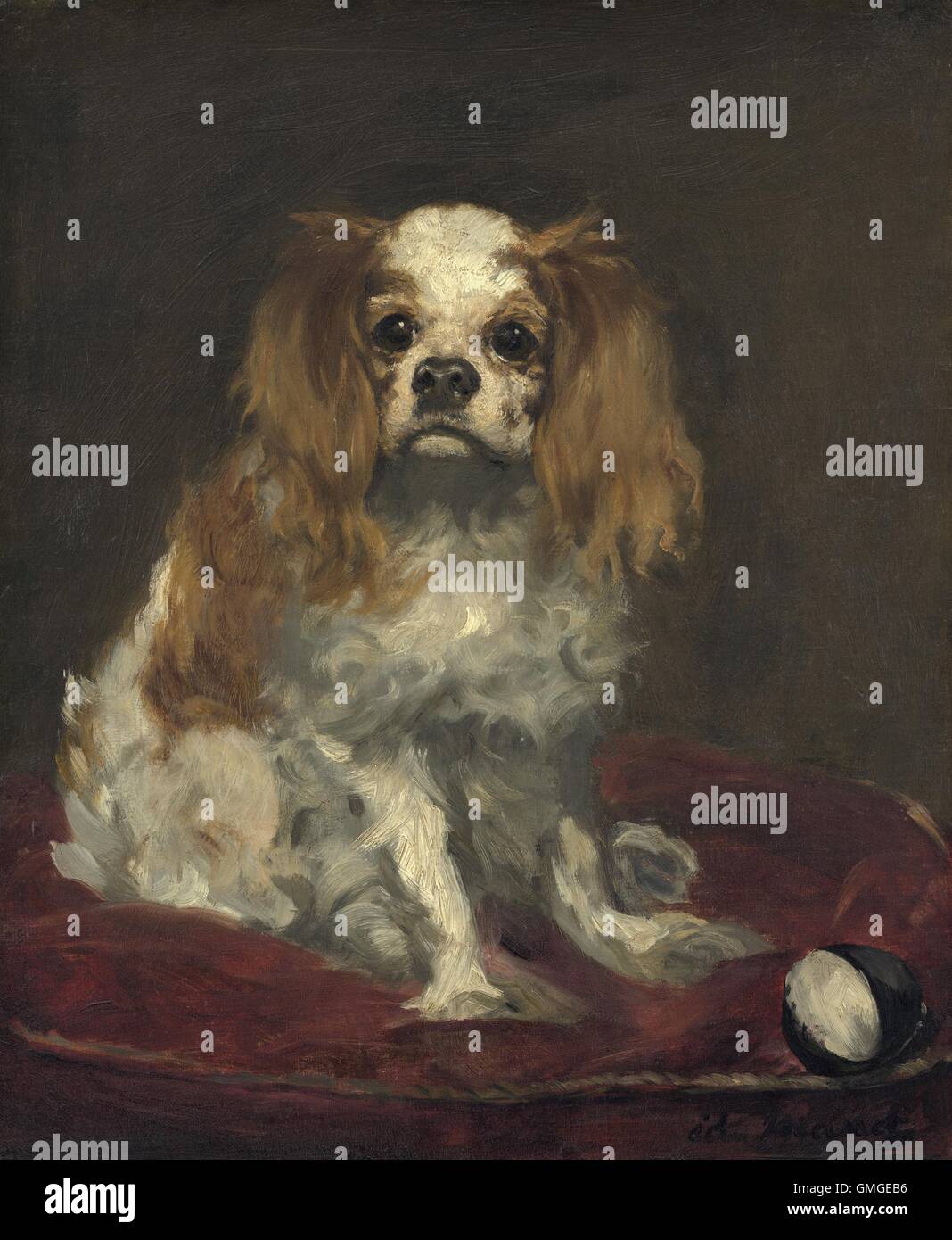 A King Charles Spaniel, by Edouard Manet, 1866, French painting, oil on linen (BSLOC_2016_5_99) Stock Photo
