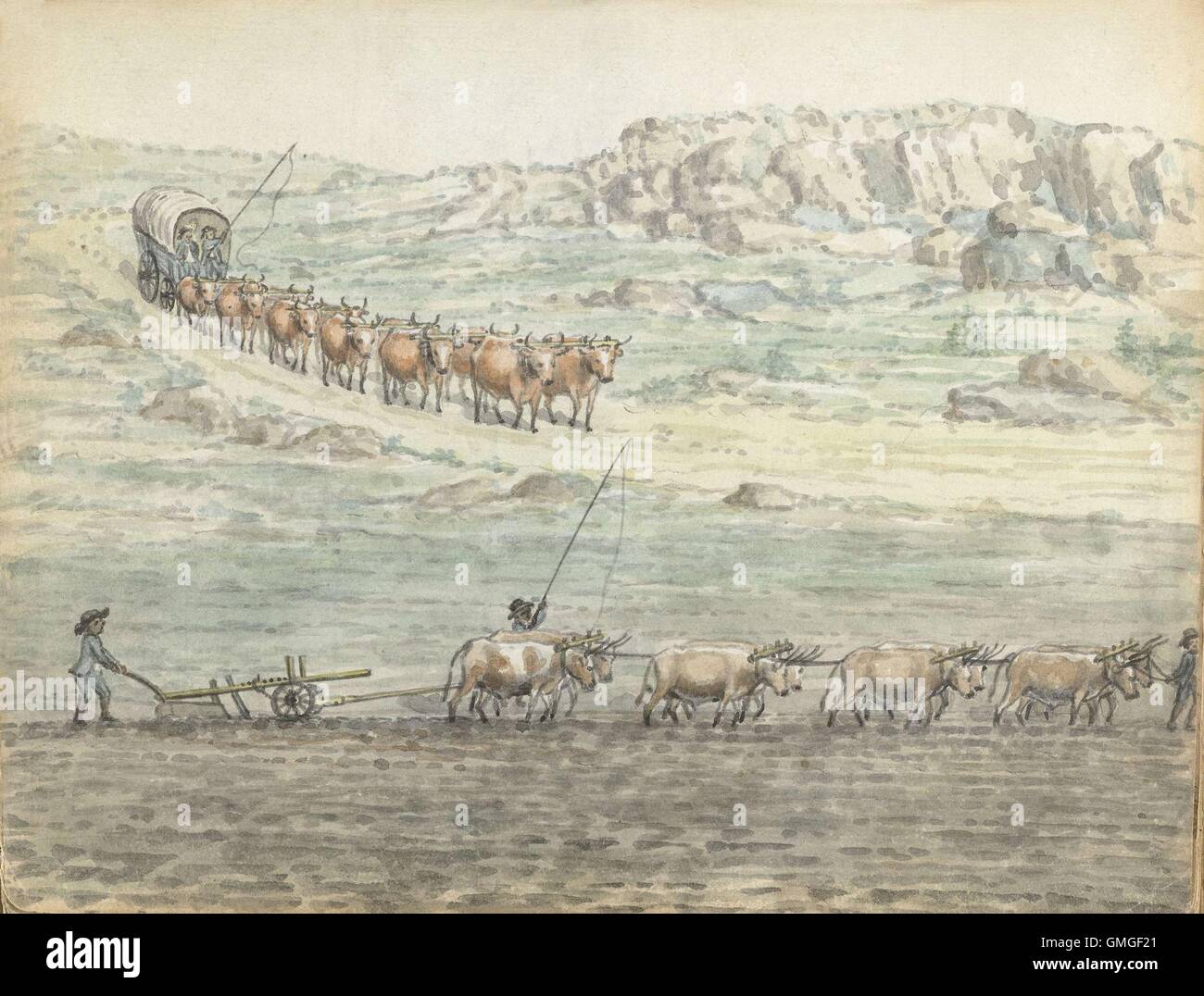 Ox-Span for Covered Wagon and Plow, by Jan Brandes, 1806, Dutch Colonial painting, drawing, paper pencil, brush. 12 oxen drawing a cart and 8 pull a plow on a Dutch settler's farm in Lochner, South Africa (BSLOC 2016 6 318) Stock Photo