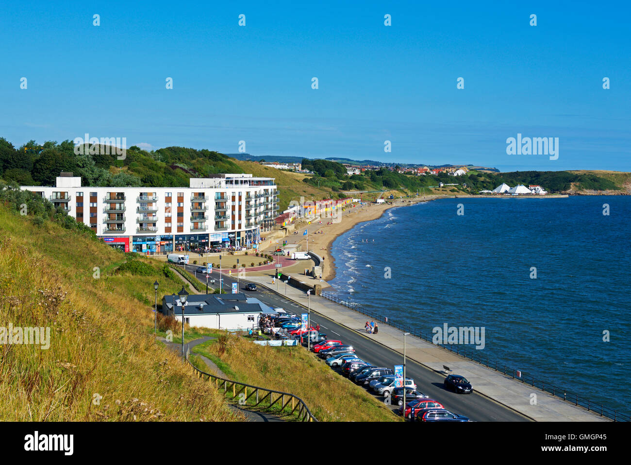 Are Dogs Allowed On Scarborough North Bay