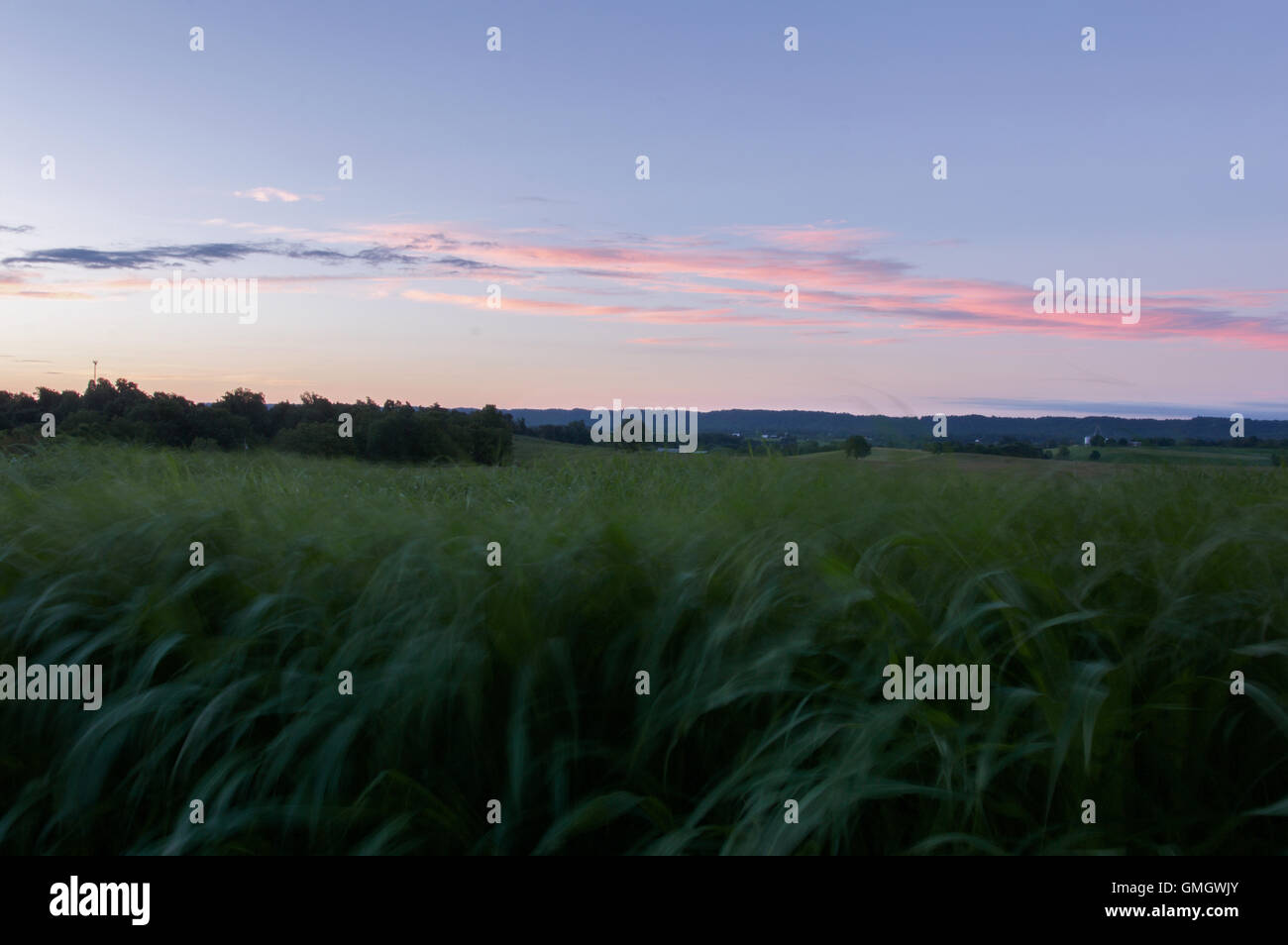 Early morning view of field around the Abbey of Gethsemani, a Trappist monastery in Kentucky, at sunrise. Stock Photo