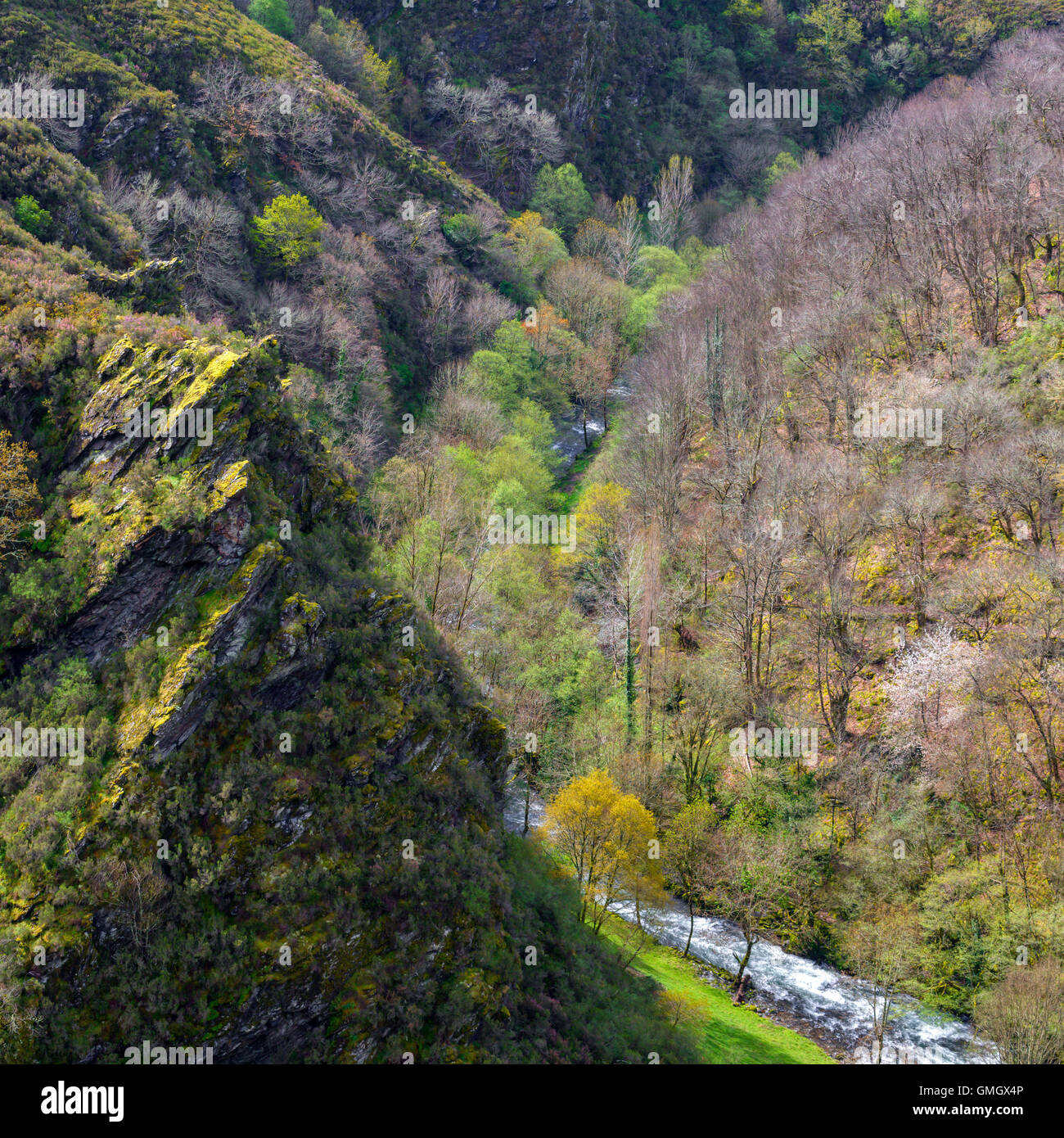 Valley and river of Louzara, Courel, Lugo, Galicia Stock Photo