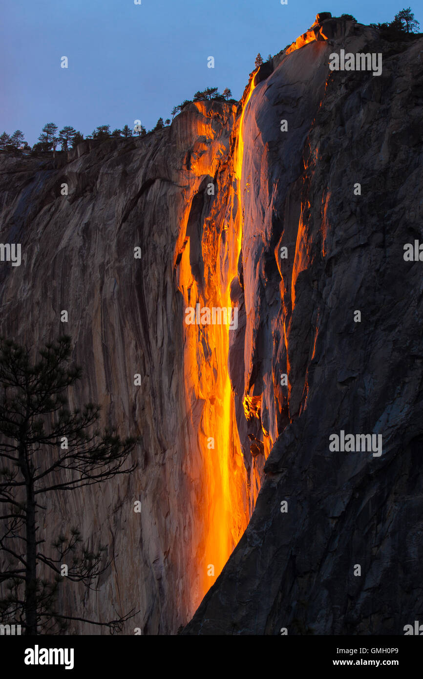 Yosemite's Horsetail fall illuminated at sunset in the park during the month of February. The natural fire fall Stock Photo