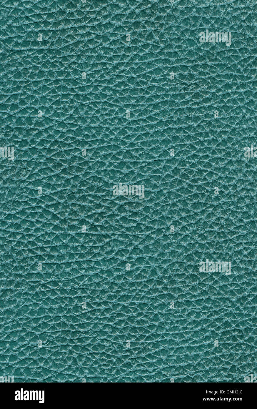 texture of skin Stock Photo Alamy