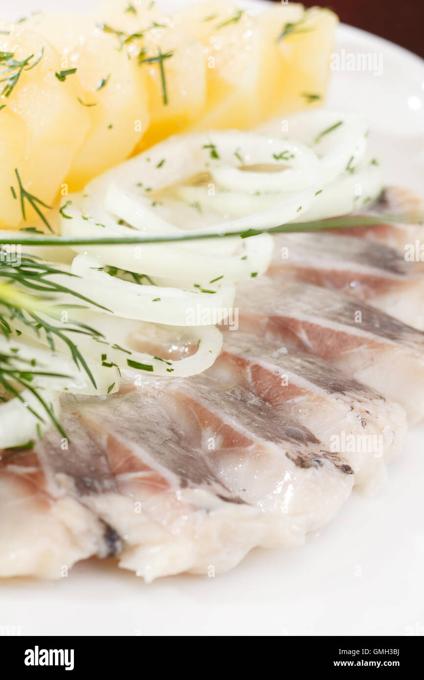 Matjes fillets hires stock photography and images Alamy