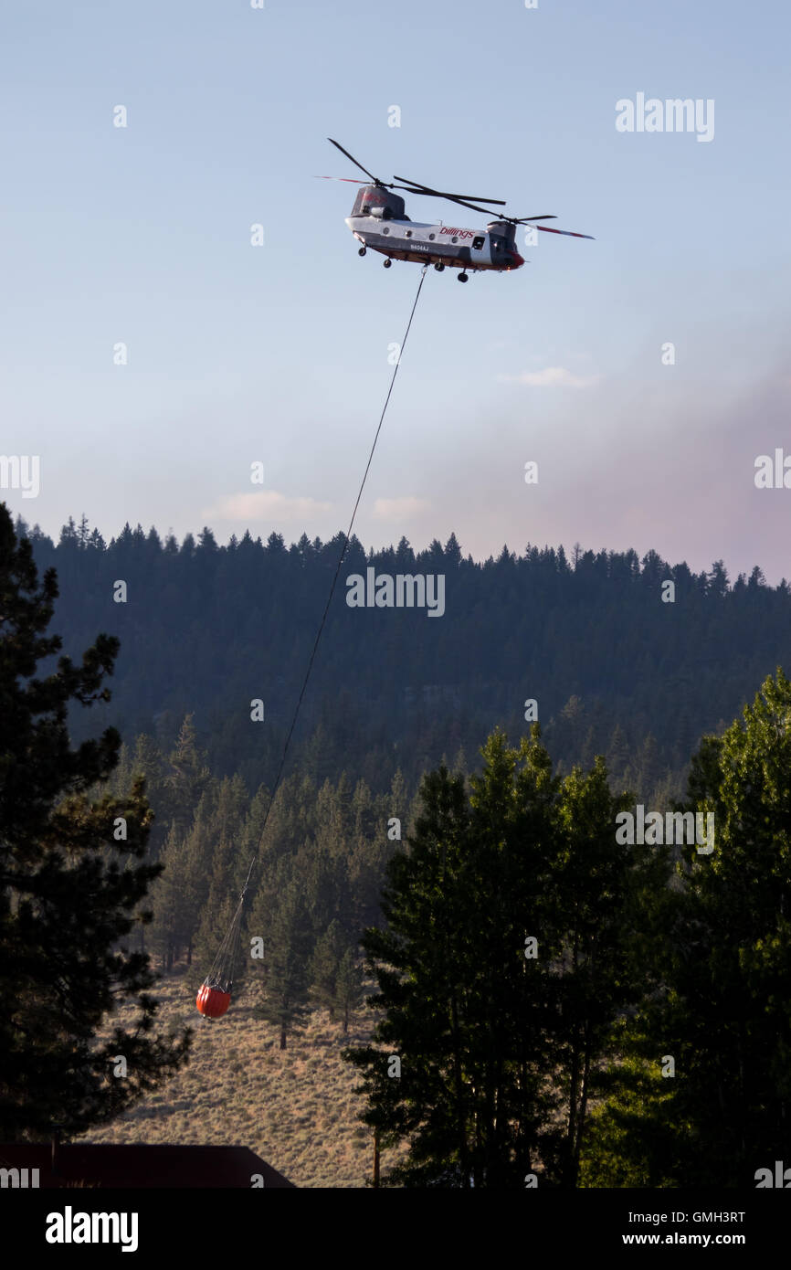 California wildfire forest. Billings Flying Services CH 47D Chinook helicopter fighting the Clark fire near bald mountain in the Inyo national forest C Stock Photo