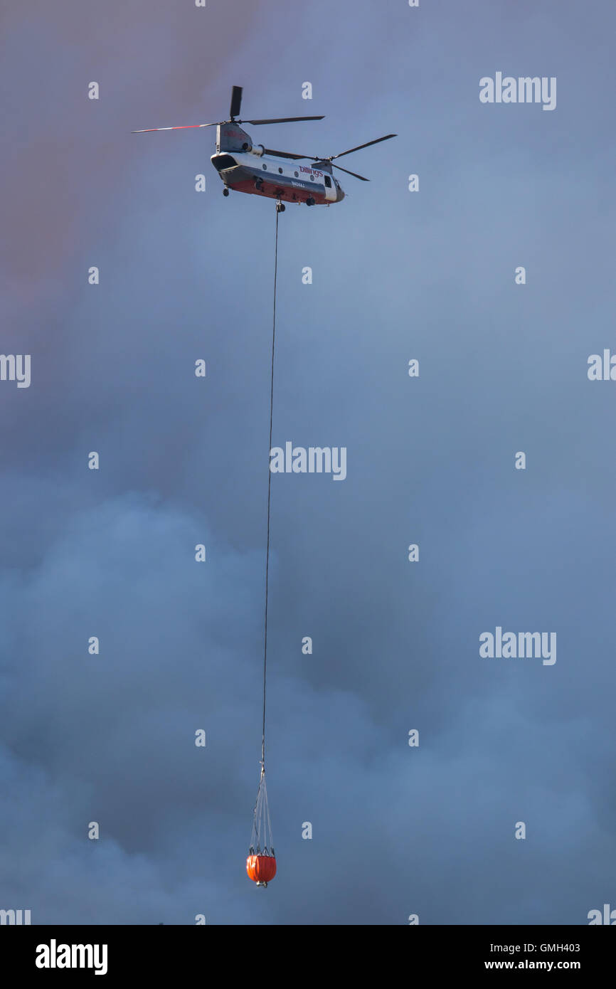 california wildfire forest. Billings Flying Services CH 47D Chinook helicopter fighting the Clark fire near bald mountain in the Inyo national forest C Stock Photo