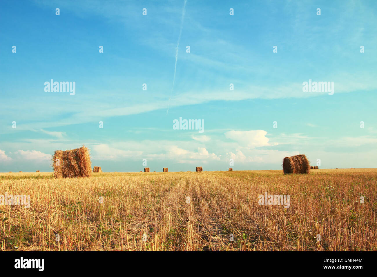 bales at field Stock Photo - Alamy