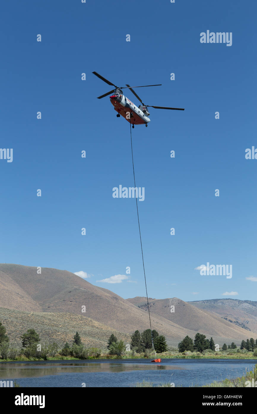 Billings Flying Services CH 47D Chinook helicopter fighting the Clark fire near bald mountain in the Inyo national forest California USA Stock Photo