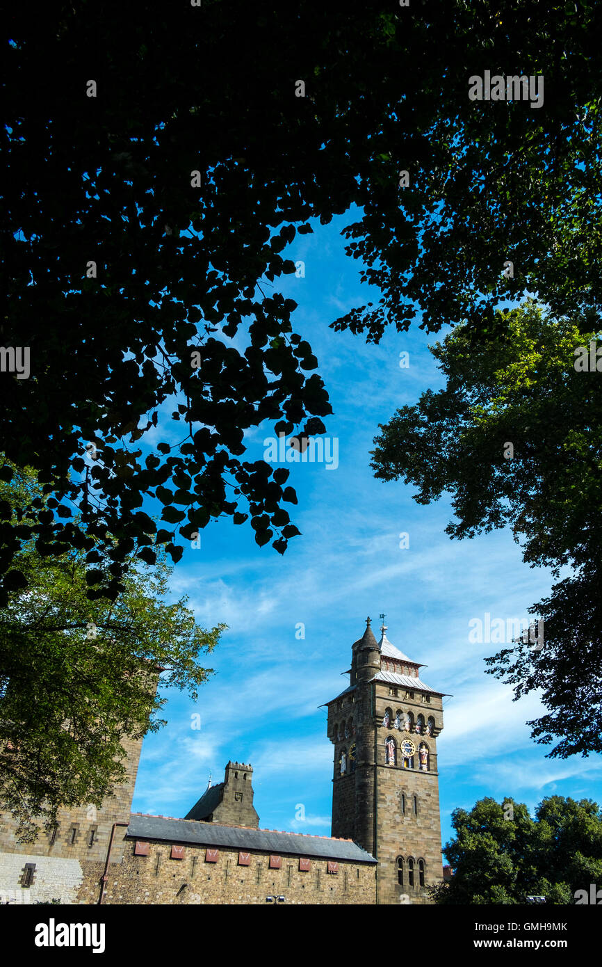 cardiff castle clock tower number 3617 Stock Photo