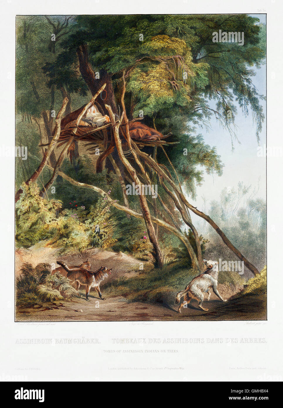A Native American themed painting by Karl Bodmer Stock Photo