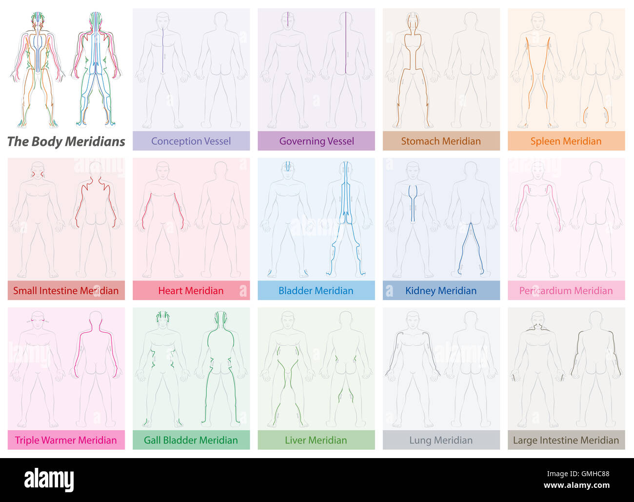 Body meridian chart with names and different colors - Traditional Chinese Medicine. Stock Photo