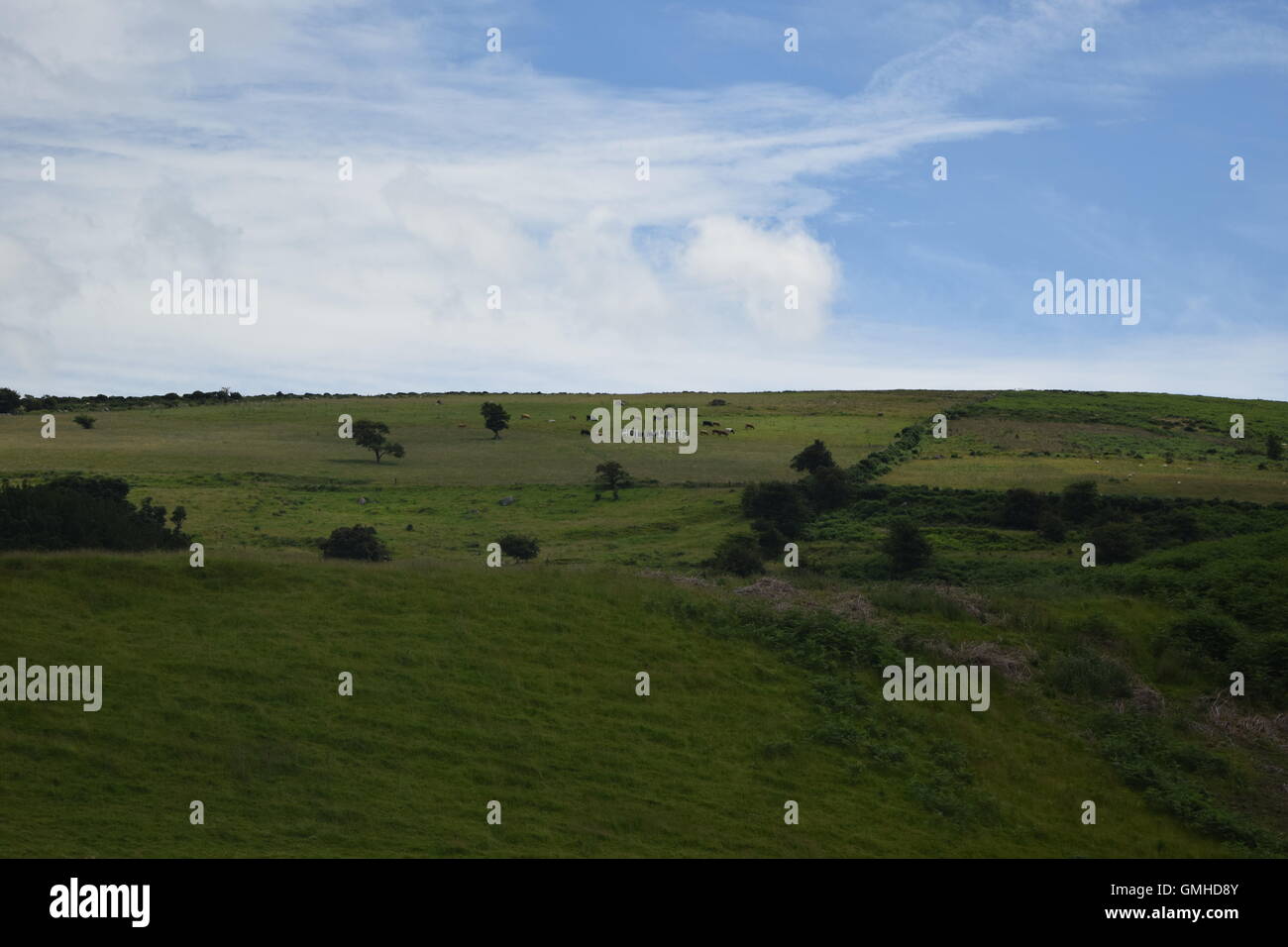 Hollywood in the county of wicklow hires stock photography and images