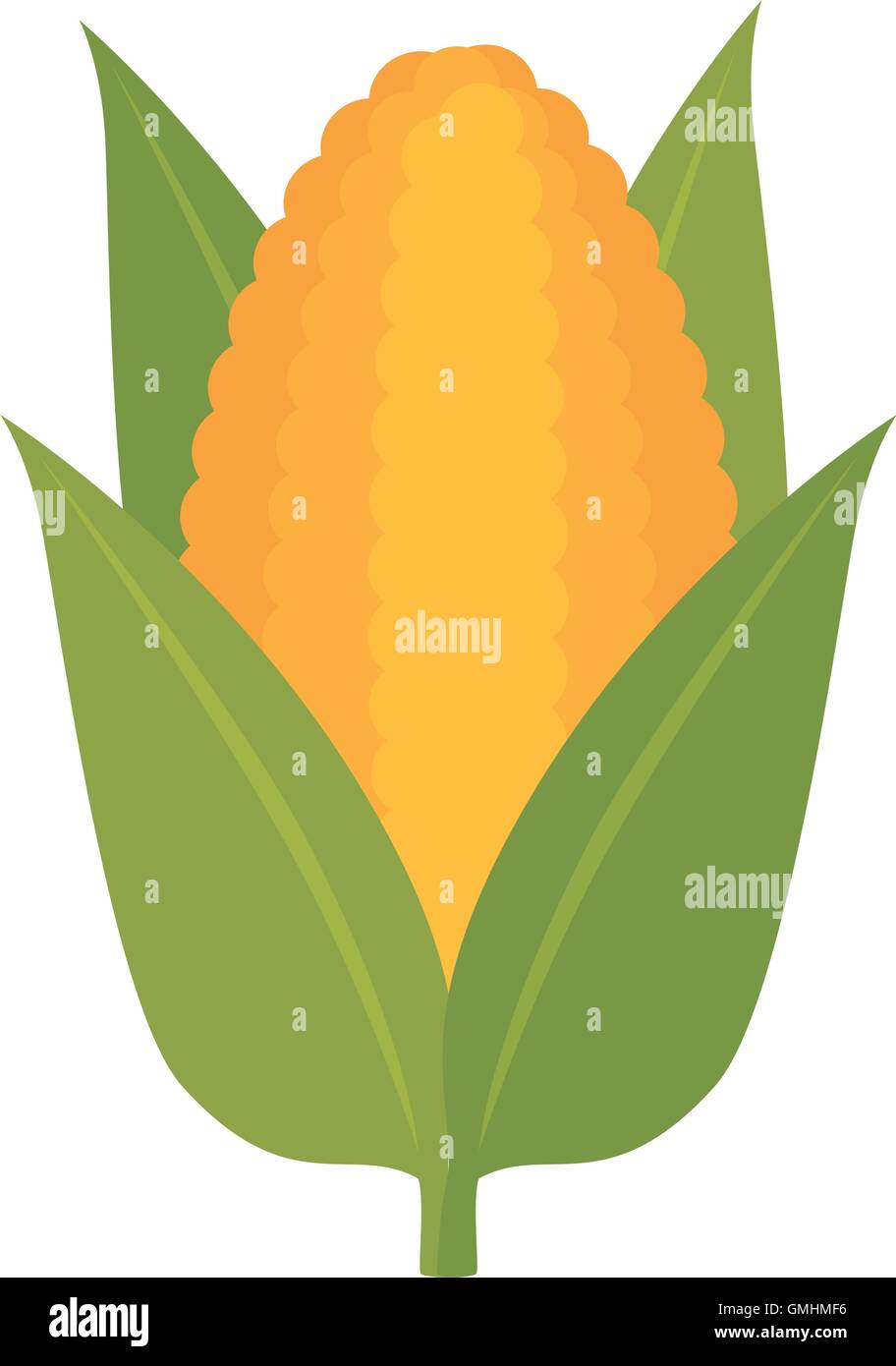 corn vegetable food Stock Vector Image & Art - Alamy