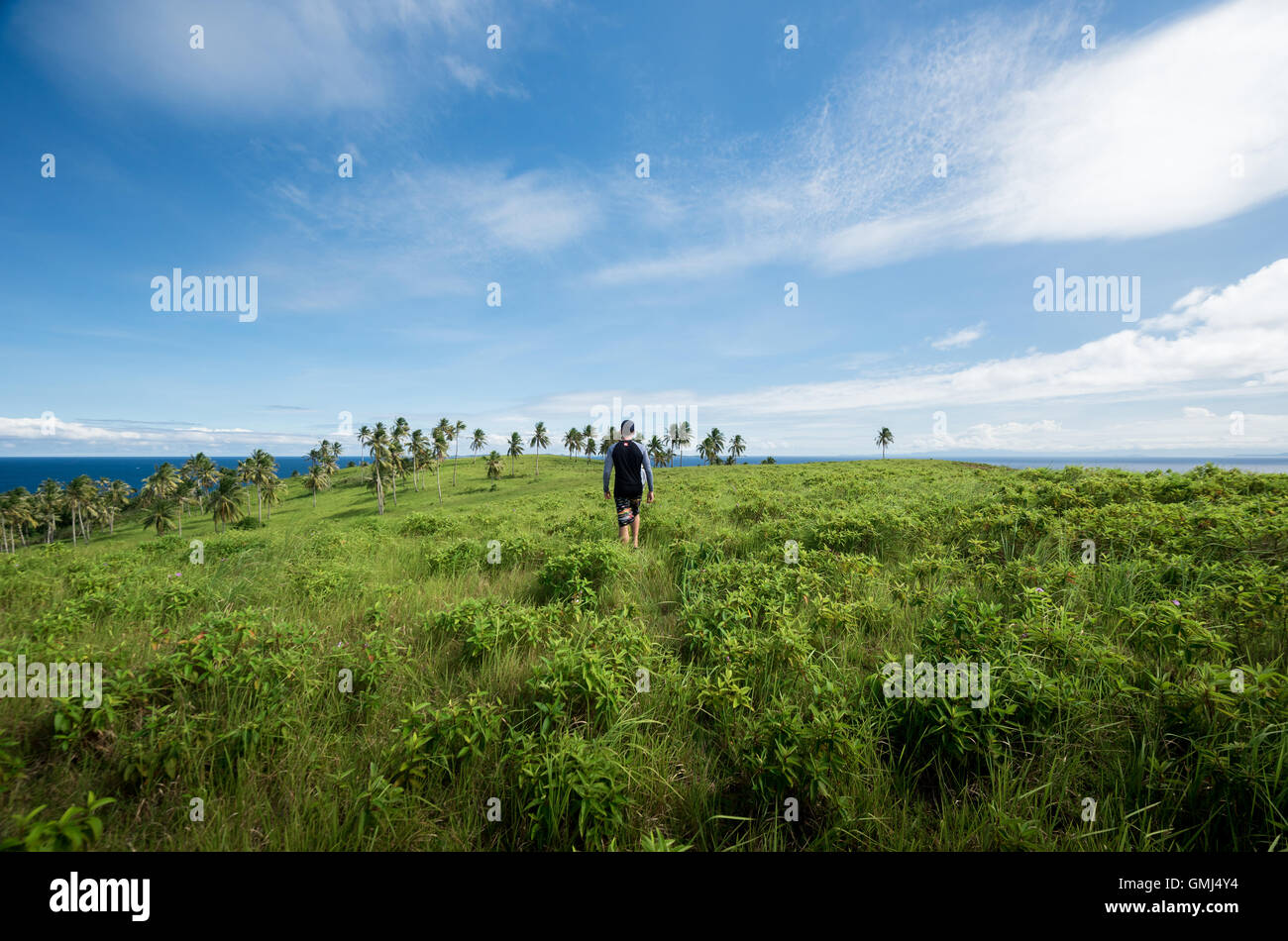beatles the man on the hill