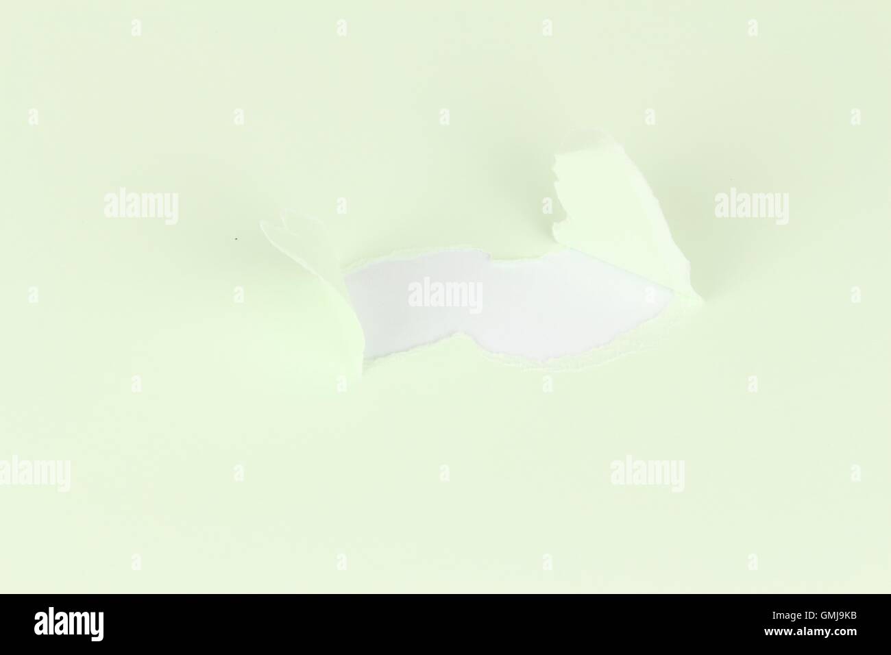 Sheet of light green paper, lined, with oval shaped ripping, for white ...