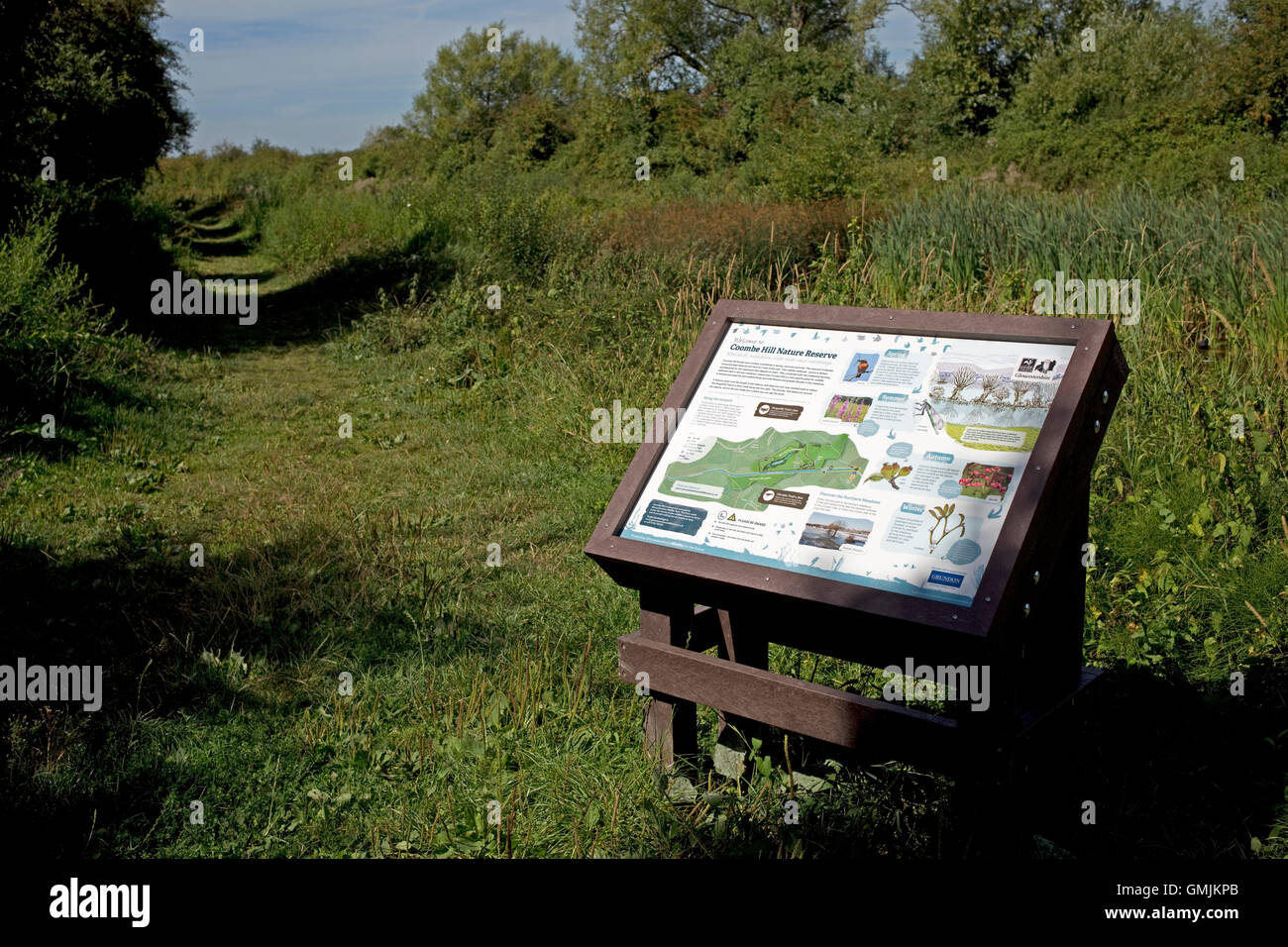 Towpath along Coombe Hill canal Gloucestershire Wildlife Trust Nature Reserve near Gloucester UK