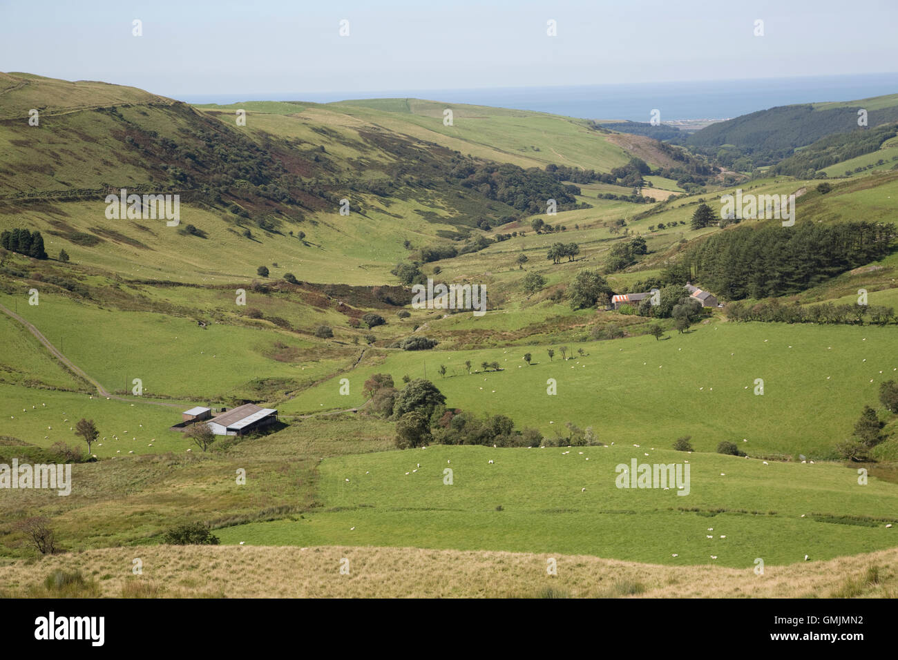 Small farm in wooded valley near Pantglas overlooking Cardigan Bay Ceredigion Mid Wales Stock Photo