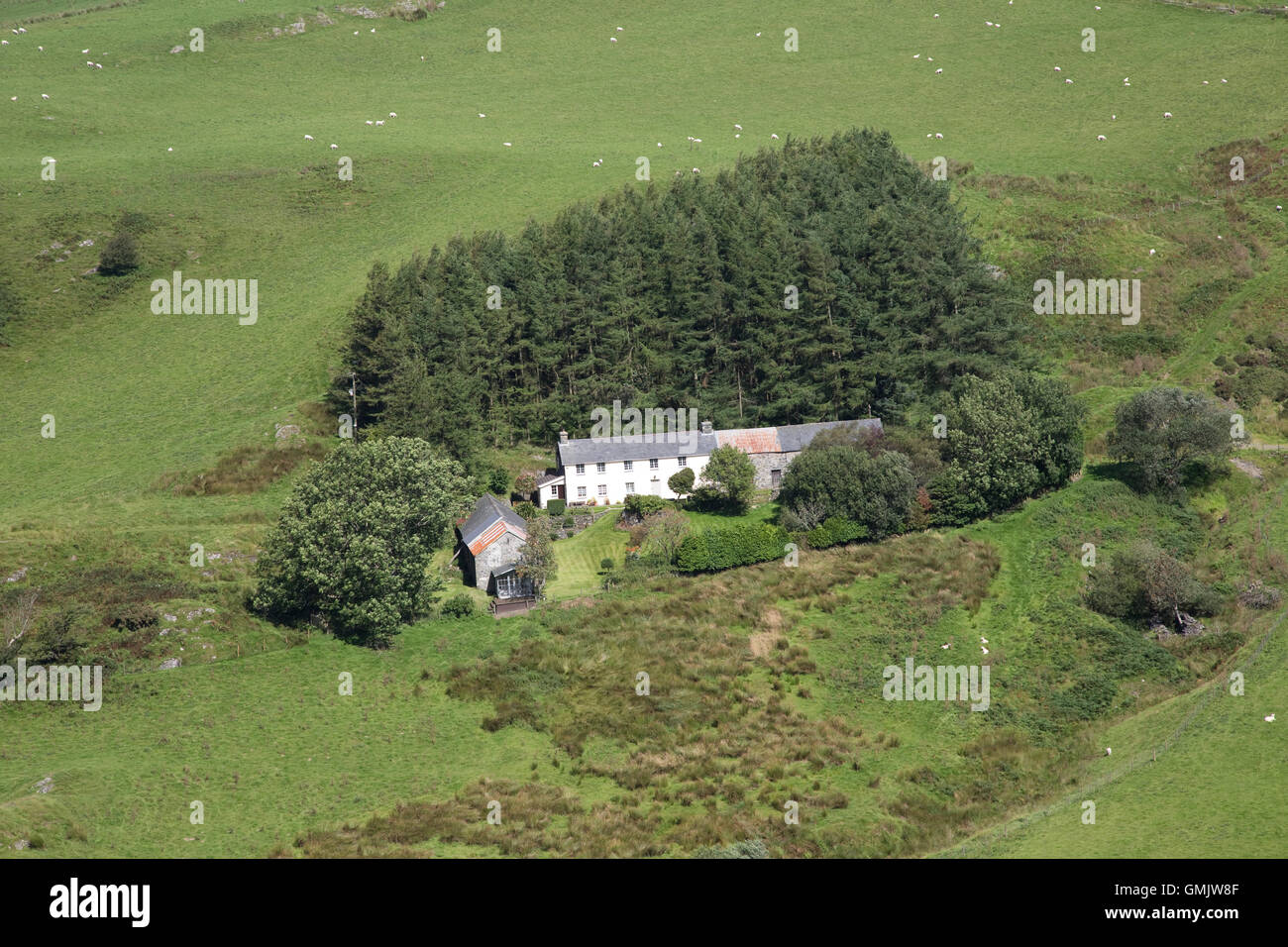Small Welsh hill farm in mountains near Pantglas Ceredigion Mid Wales Stock Photo