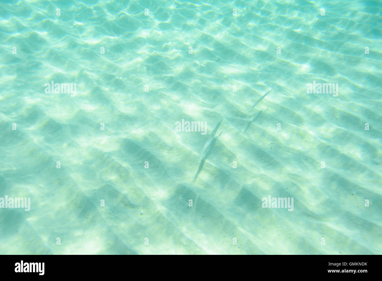 under water Stock Photo