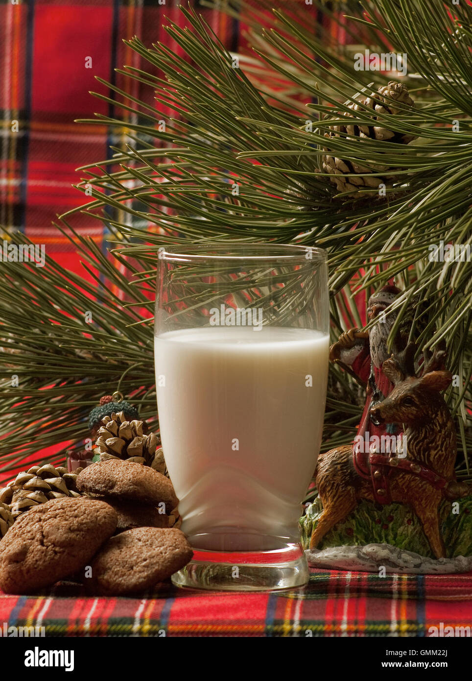 santa's cookie with milk Stock Photo