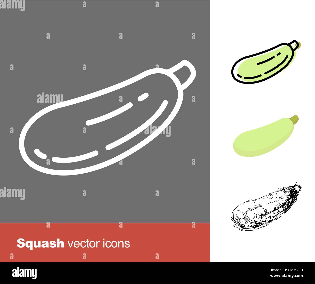Squash vector icons. Thin line, flat, and hand drawn styles Stock Vector