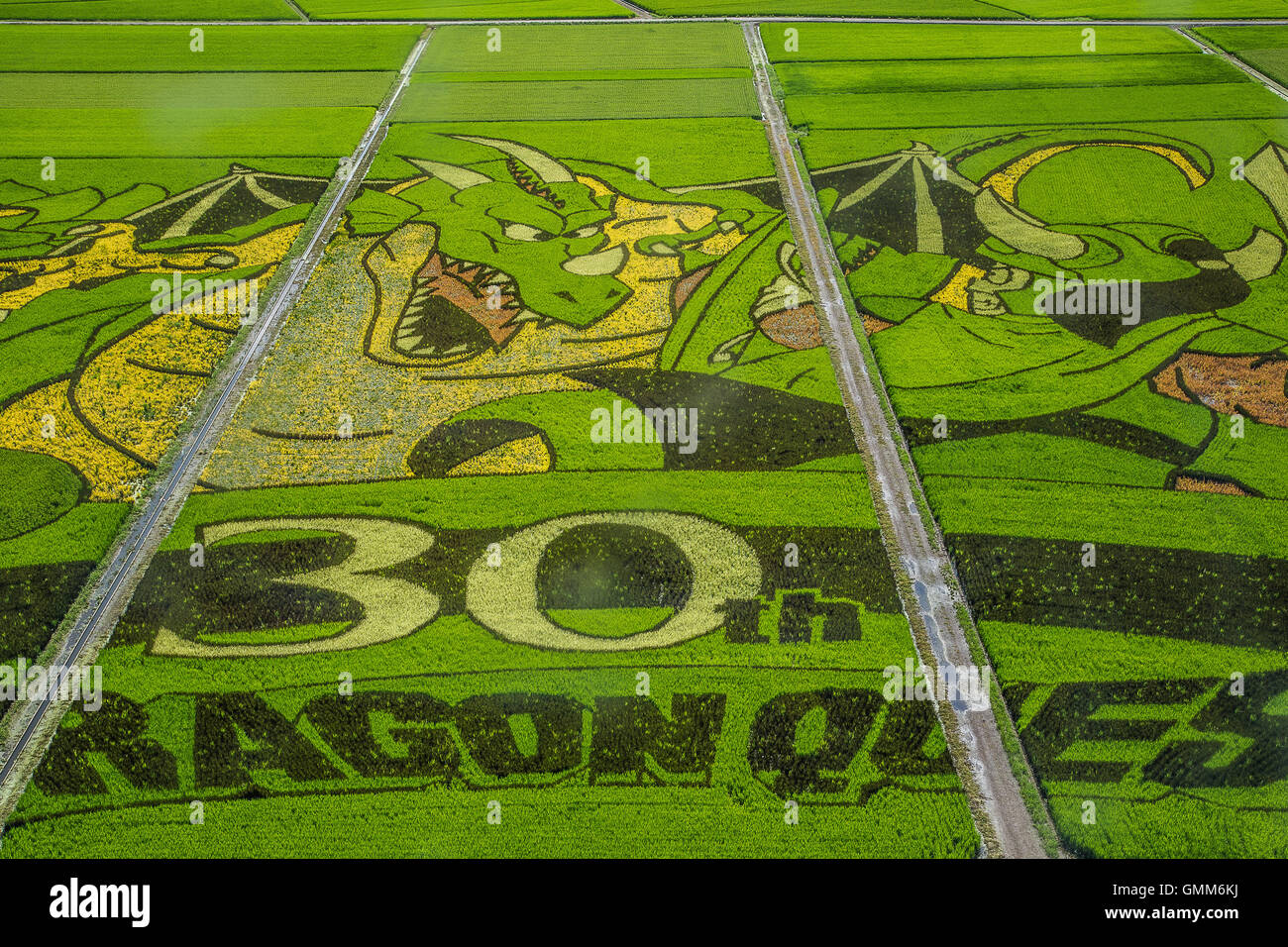 Gyoda is a mostly flat city full of rice paddies. One of these paddies has been turned into a giant artistic canvas. Stock Photo