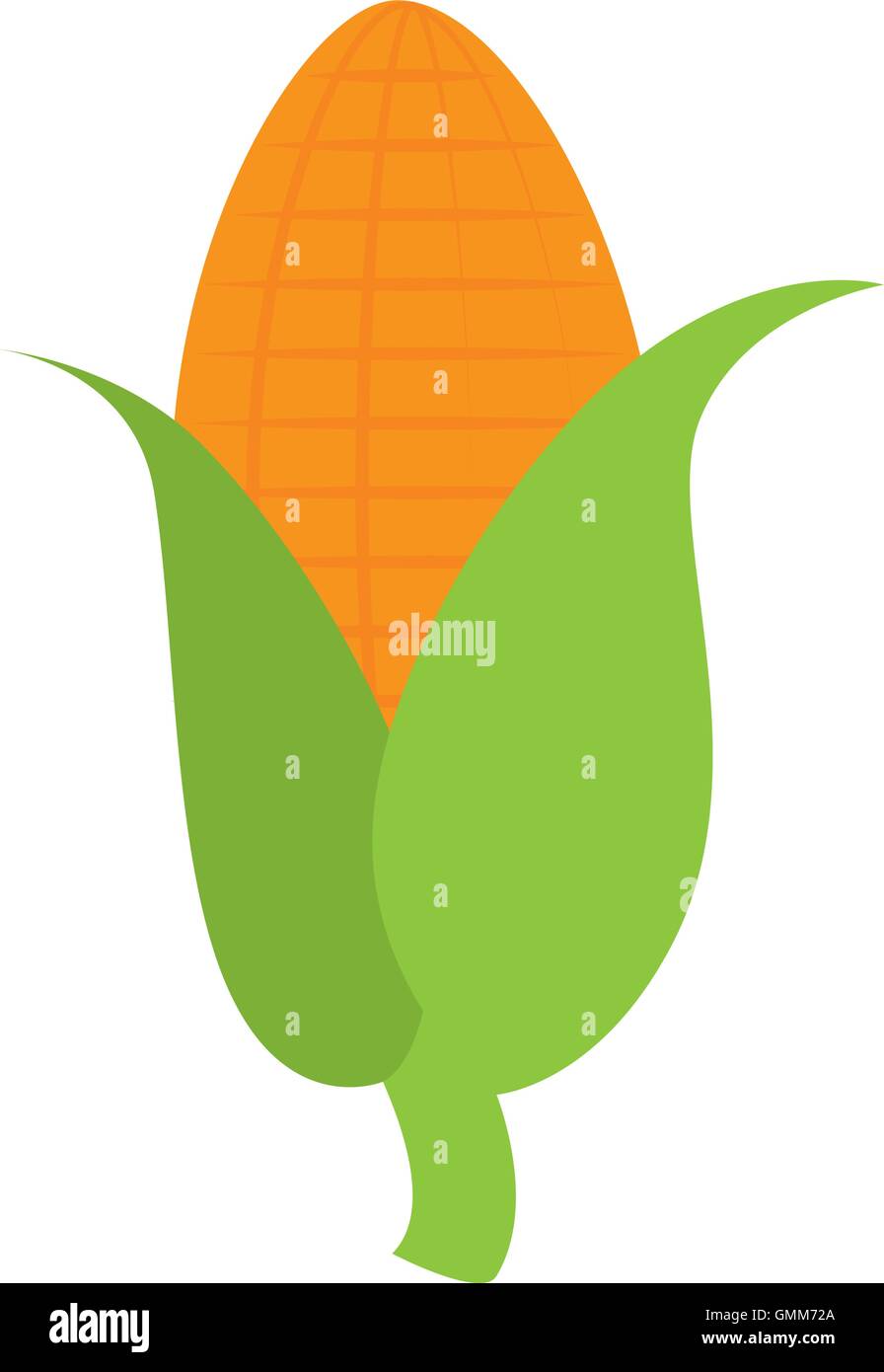 corn vegetable food Stock Vector Image & Art - Alamy