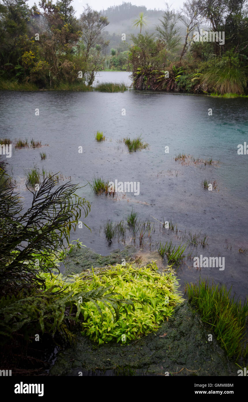 Te Whaikoropupu freshwater springs, Takaka, Golden Bay, Tasman District, South Island, New Zealand Stock Photo