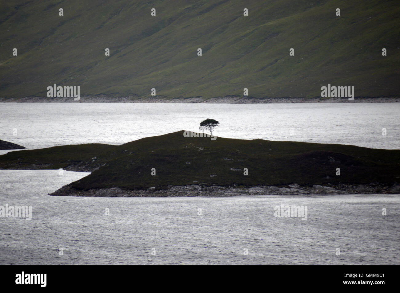 Island with Lone Tree on Loch Monar in Remote Glen Strathfarrar, Scottish Highlands, Scotland UK Stock Photo