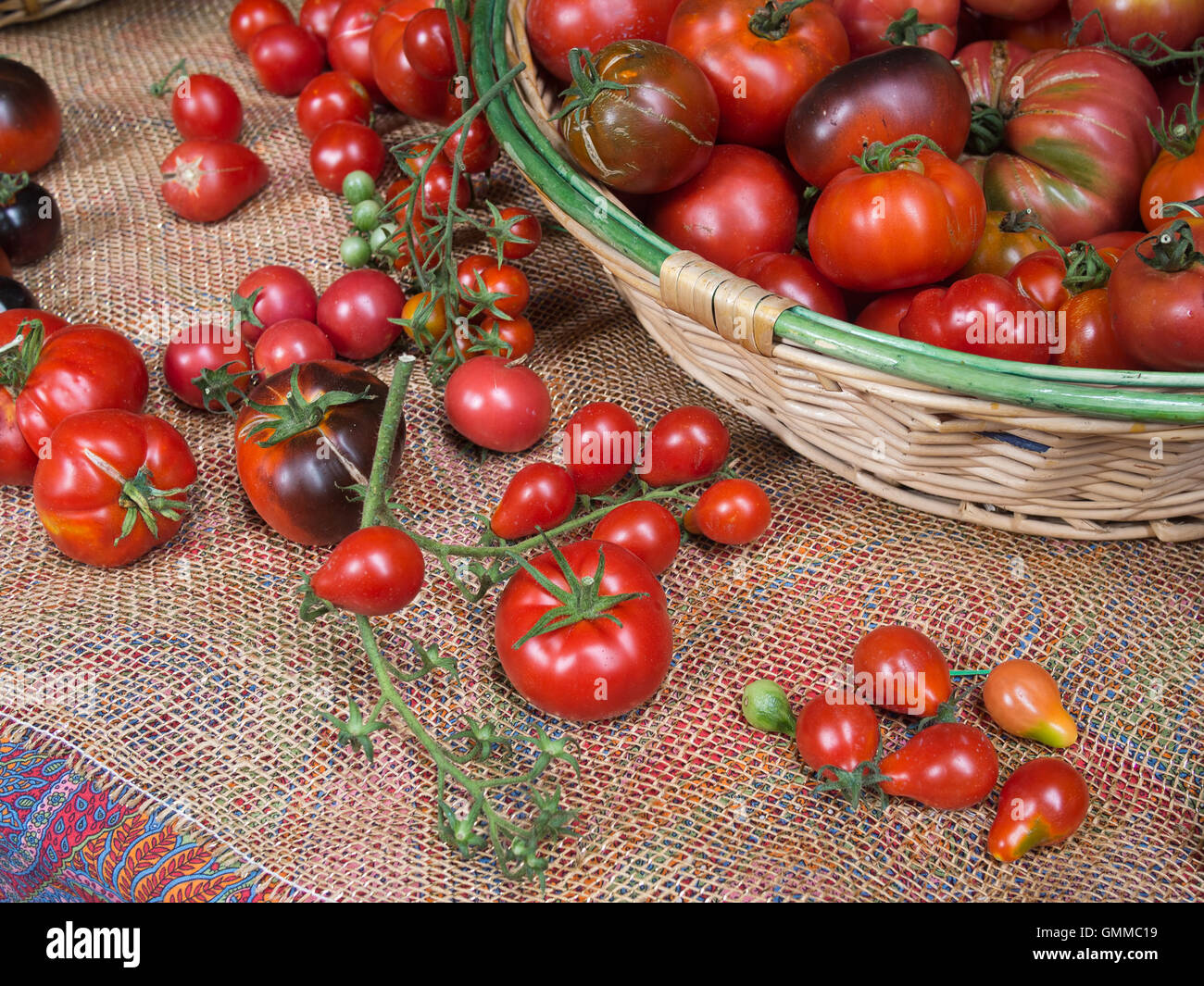 Basket of fresh tomatoes, many varieties. Exhibition Stock Photo - Alamy