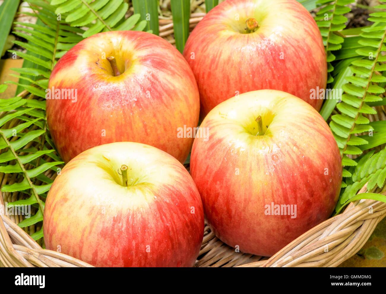 Red apple fruits Stock Photo Alamy