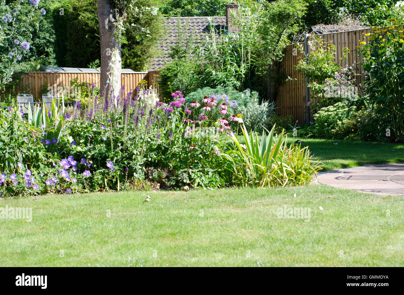 English garden flower hi-res stock photography and images - Alamy