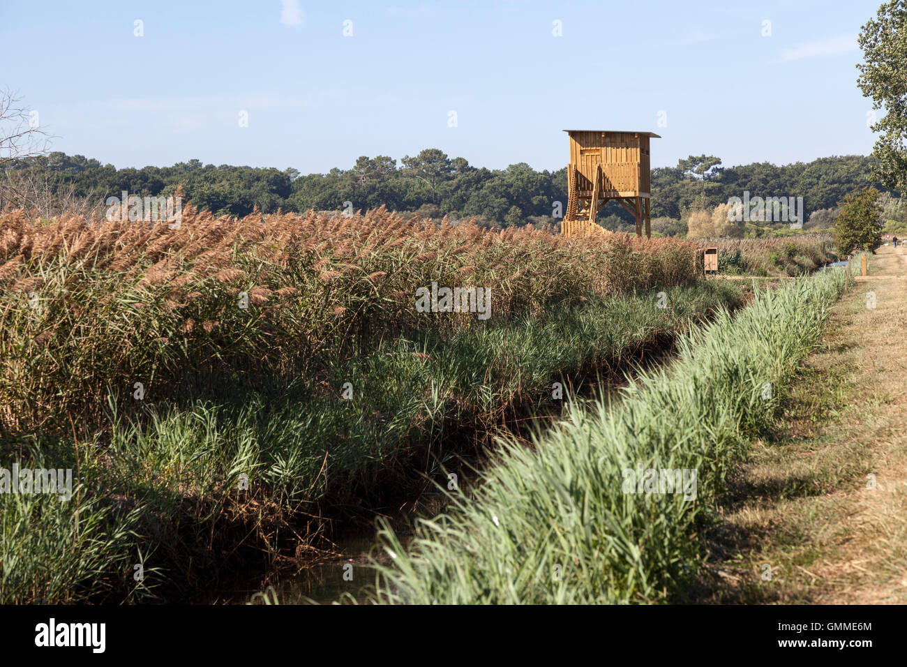 Wooden observation post of fauna in the wetland known as 'Barthes de Monbardon', at Soorts Hossegor (Landes - France). Stock Photo