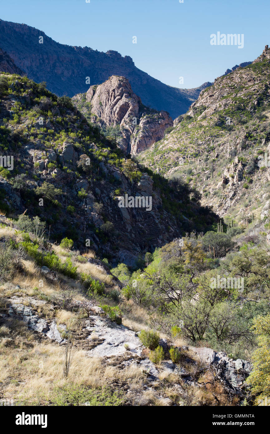 Sabino Canyon descending toward lower elevations in the Santa Catalina Mountains. Pusch Ridge Wilderness, Arizona Stock Photo