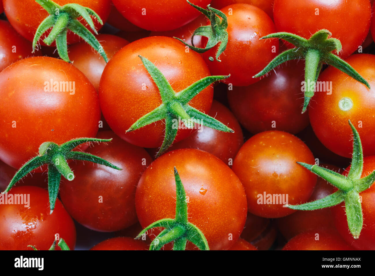 Group of fresh tomatoes Stock Photo - Alamy