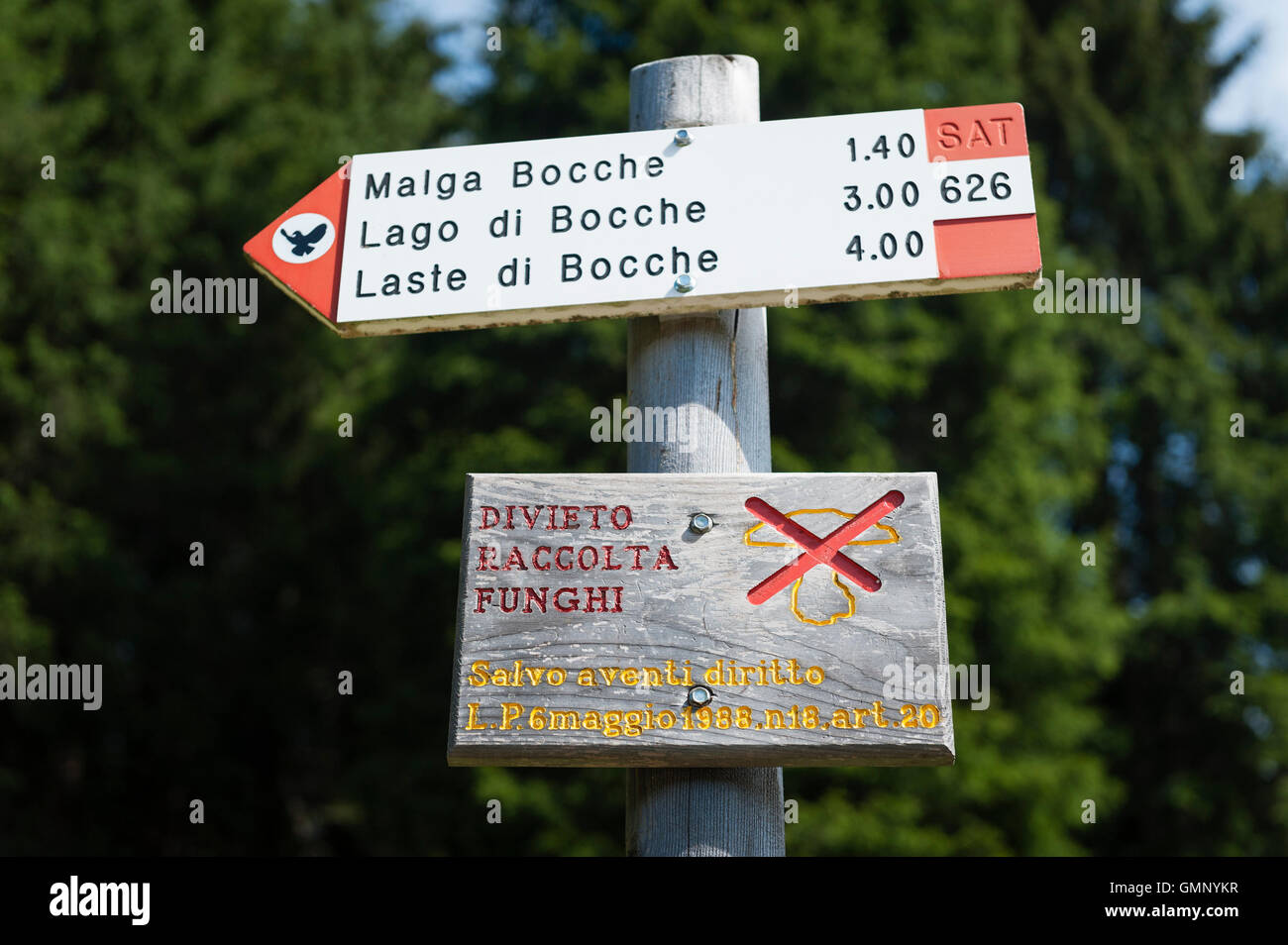 The Dolomites, Trentino, Italy. A sign in the Paneveggio national park forbidding the picking of wild mushrooms and other fungi Stock Photo
