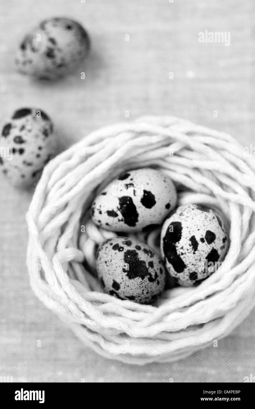 Three quail eggs in the nest with the thread Stock Photo