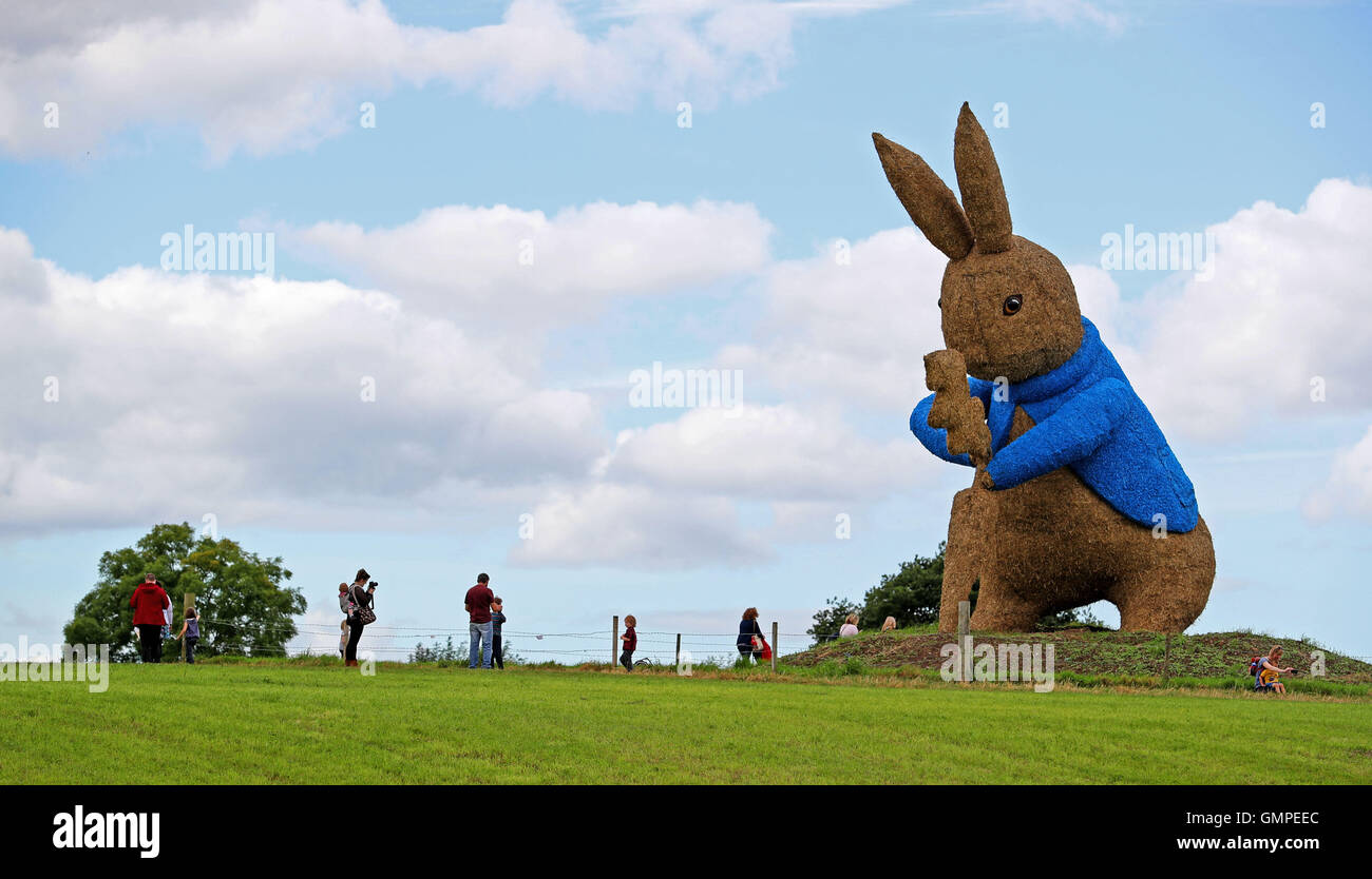 A 40ft eight tonne statue made from straw and steel, of fictional character Peter Rabbit from the Beatrix Potter tales, created by Snugbury's Icecream Parlour in Nantwich, Cheshire. Stock Photo