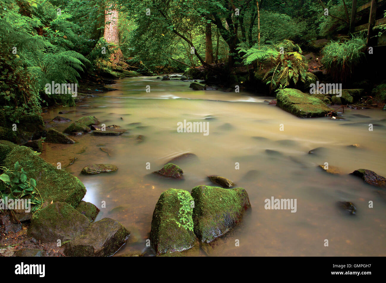 Capelrig Burn, Rouken Glen Park, East Renfrewshire Stock Photo