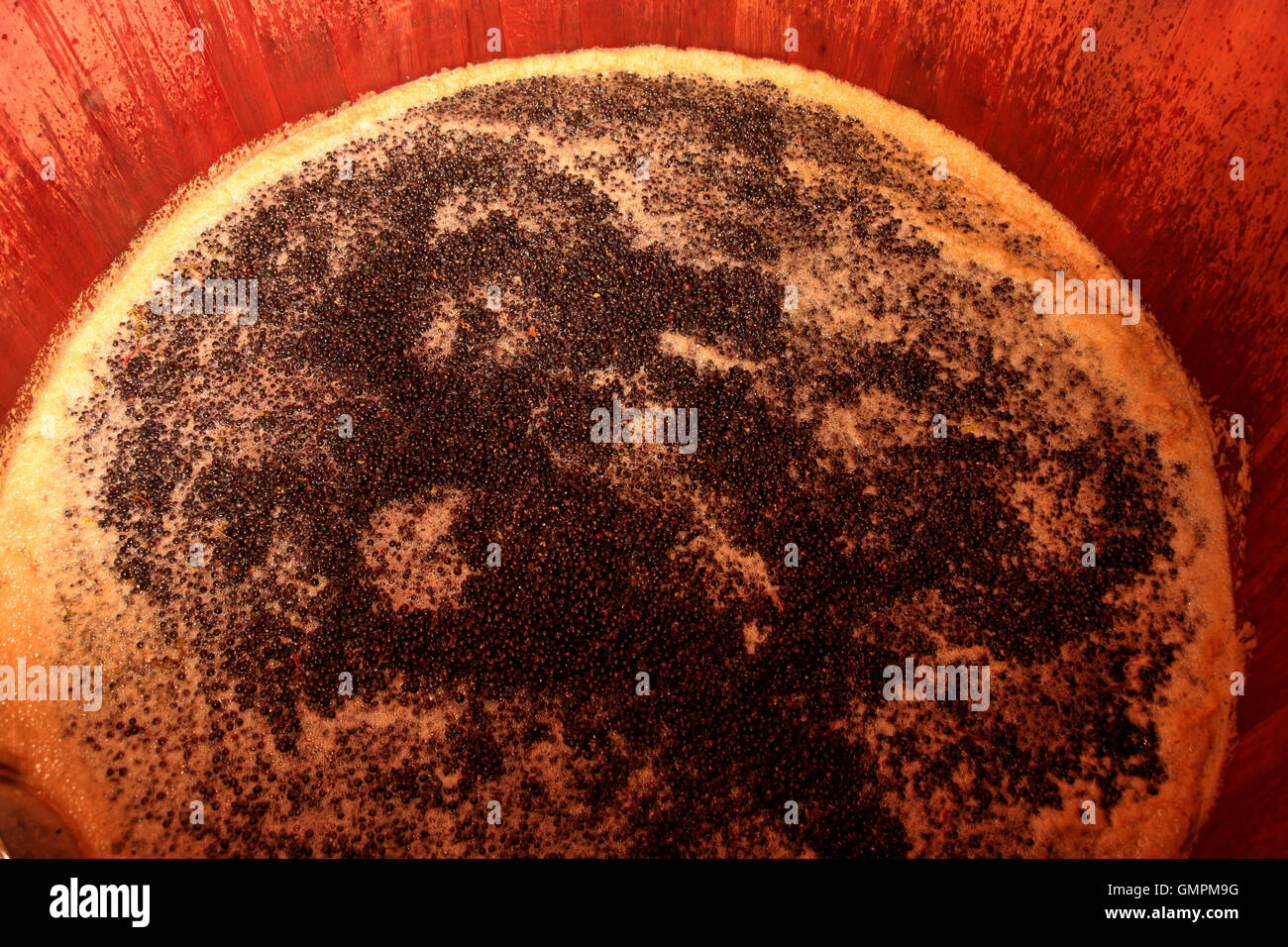 winemaking Stock Photo