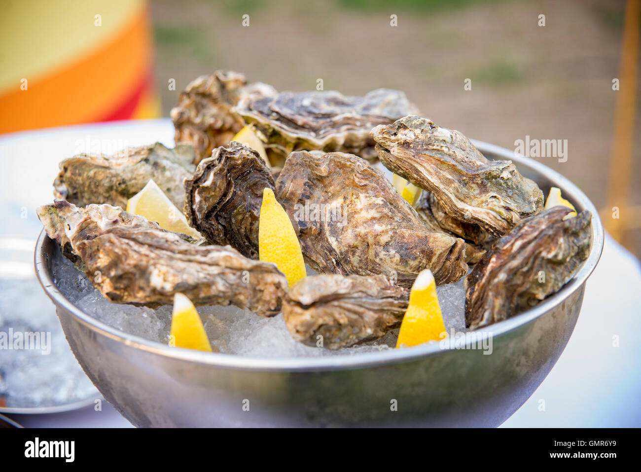 oysters Stock Photo