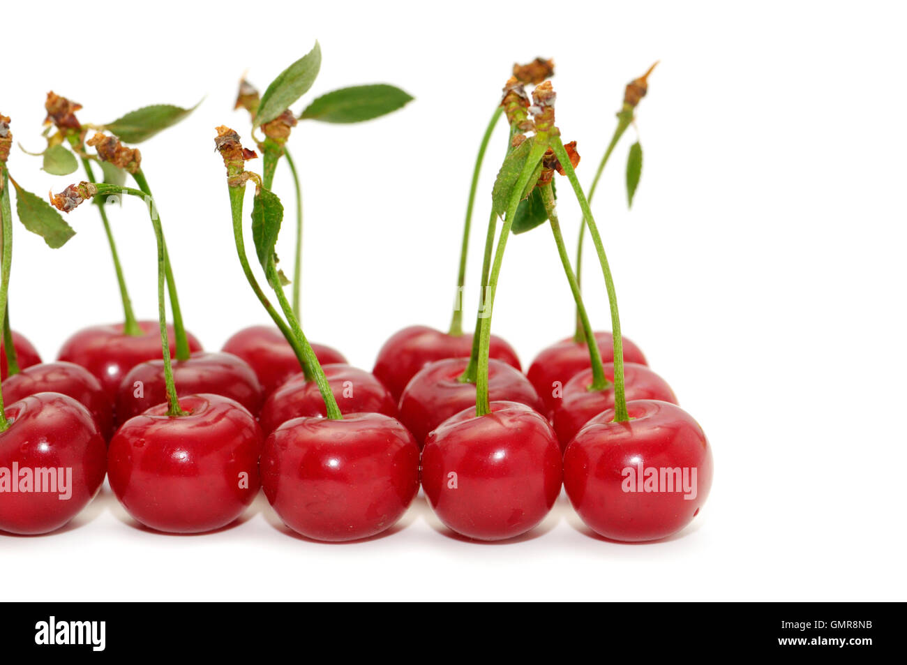 cherries isolated on a white background Stock Photo