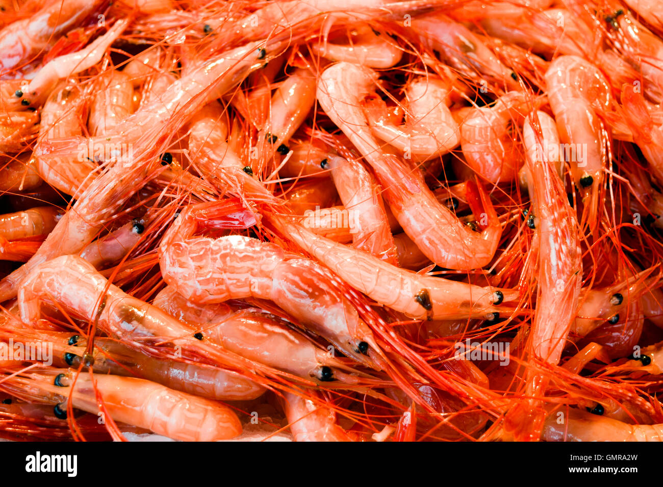 An arrangement of fresh raw shrimp at a local fish market in Steveston, Richmond, British Columbia, Canada. Stock Photo
