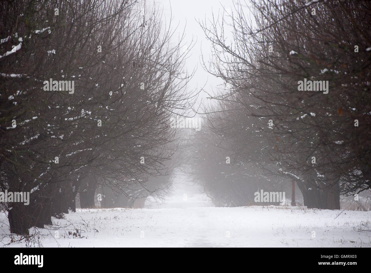 park Stock Photo