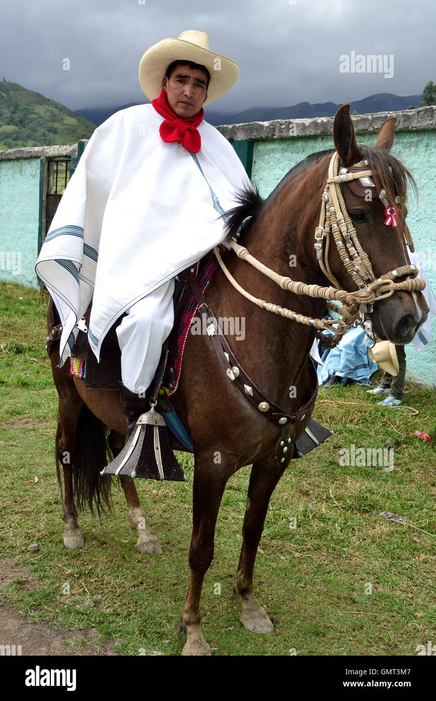 Competition paso fino horses - Agricultural fair - Fiestas de la Virgen del Carmen and Fiestas Patrias ( Independence Day ) in S Stock Photo