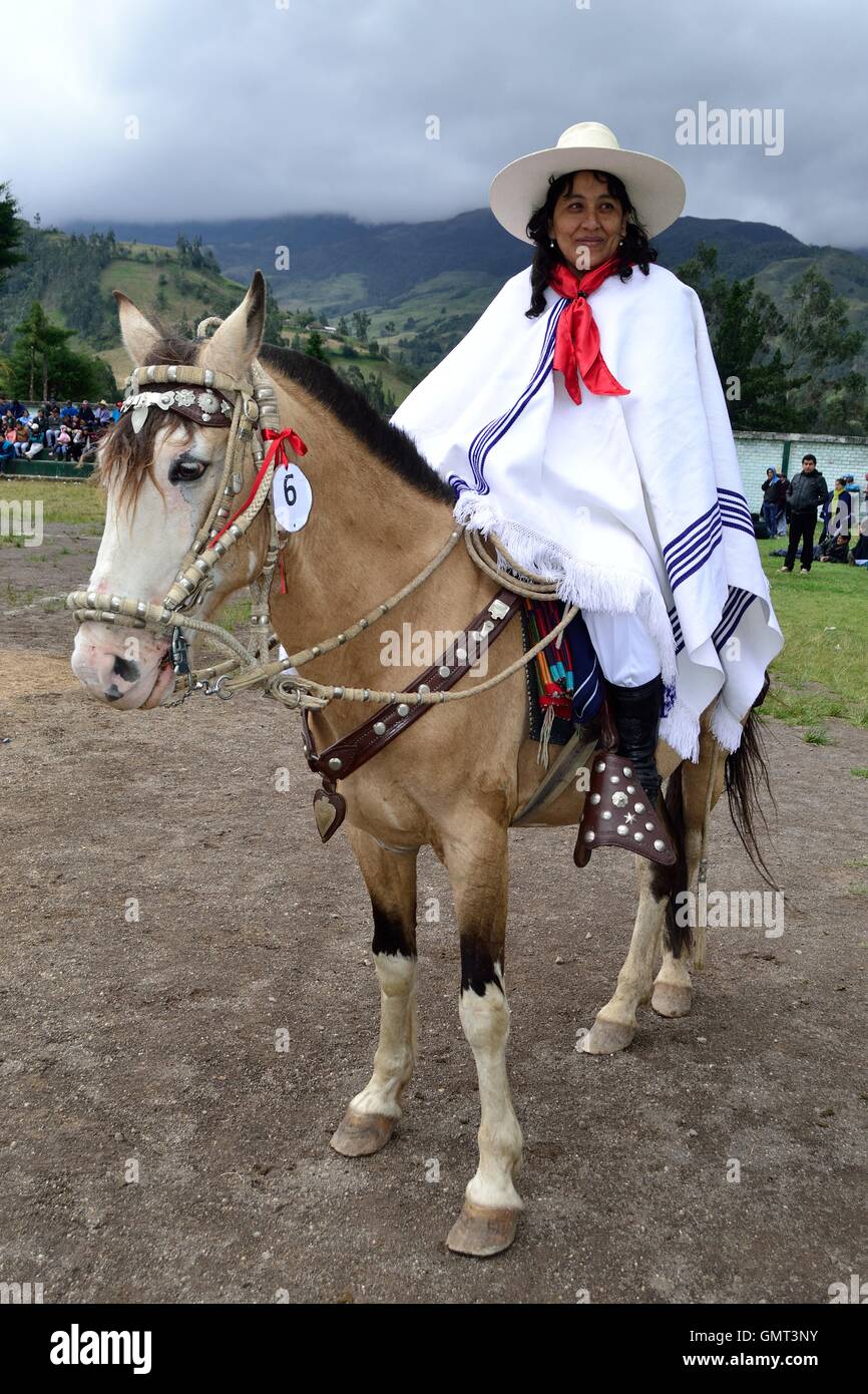 Competition paso fino horses - Agricultural fair - Fiestas de la Virgen del Carmen in Sapalache ' Las Huaringas '  - PERU Stock Photo