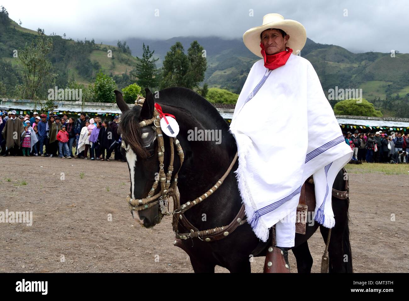 Competition paso fino horses - Agricultural fair - Fiestas de la Virgen del Carmen in Sapalache " Las Huaringas "  - PERU Stock Photo